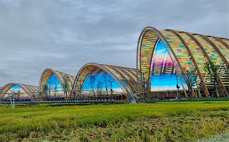 J9集团|国际站官网